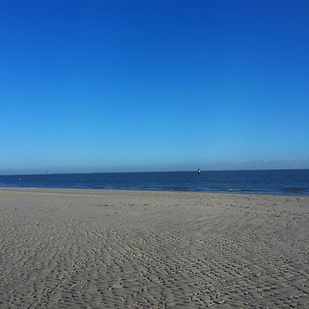 Private Logies Texel Woodart Midden-Eierland Esterno foto