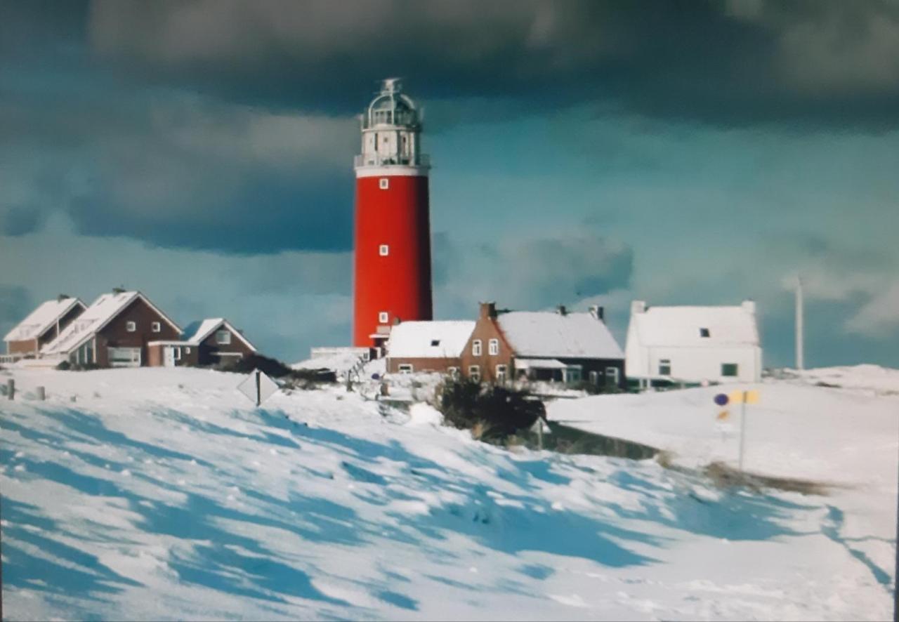 Private Logies Texel Woodart Midden-Eierland Esterno foto