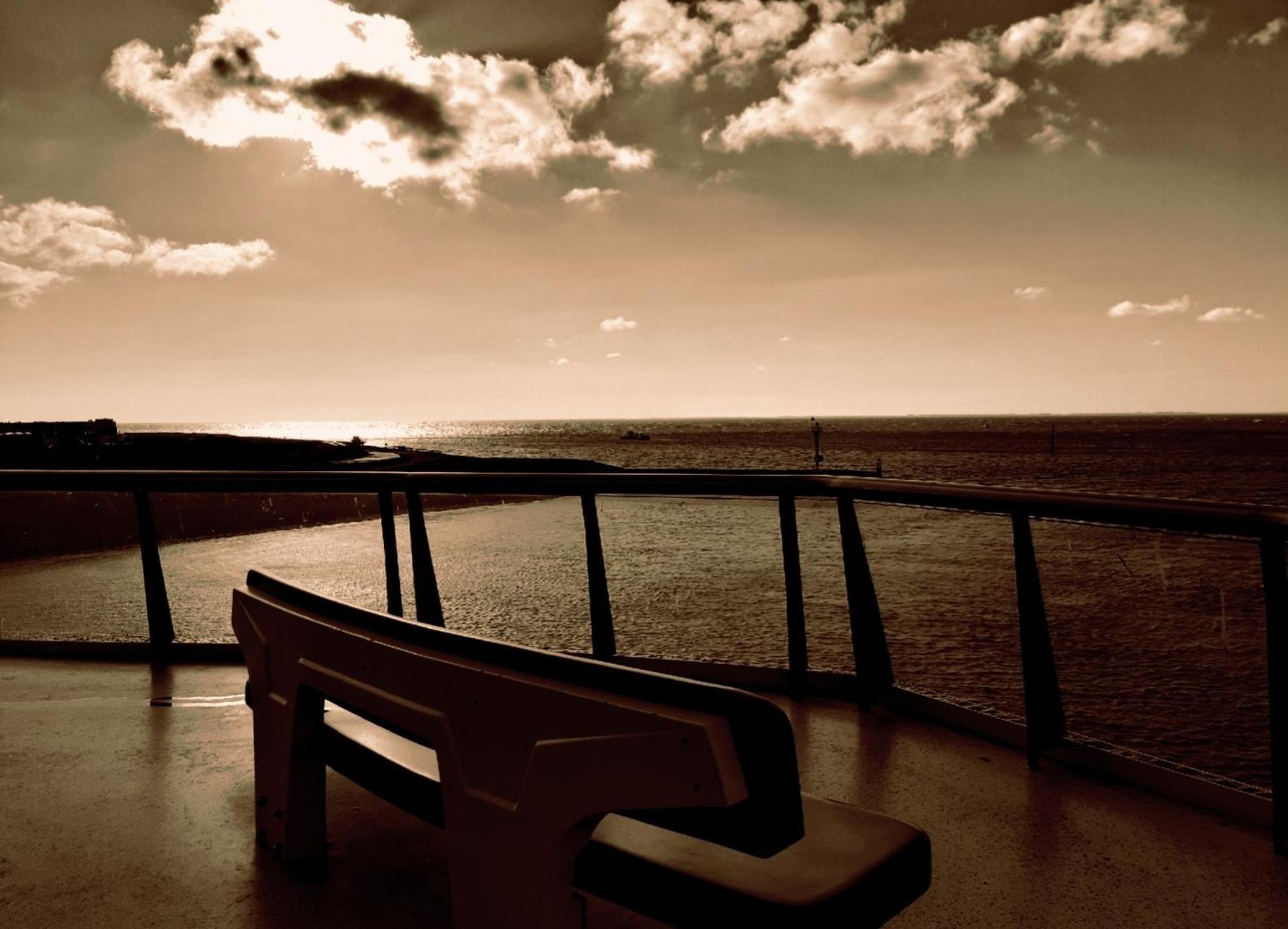 Private Logies Texel Woodart Midden-Eierland Esterno foto