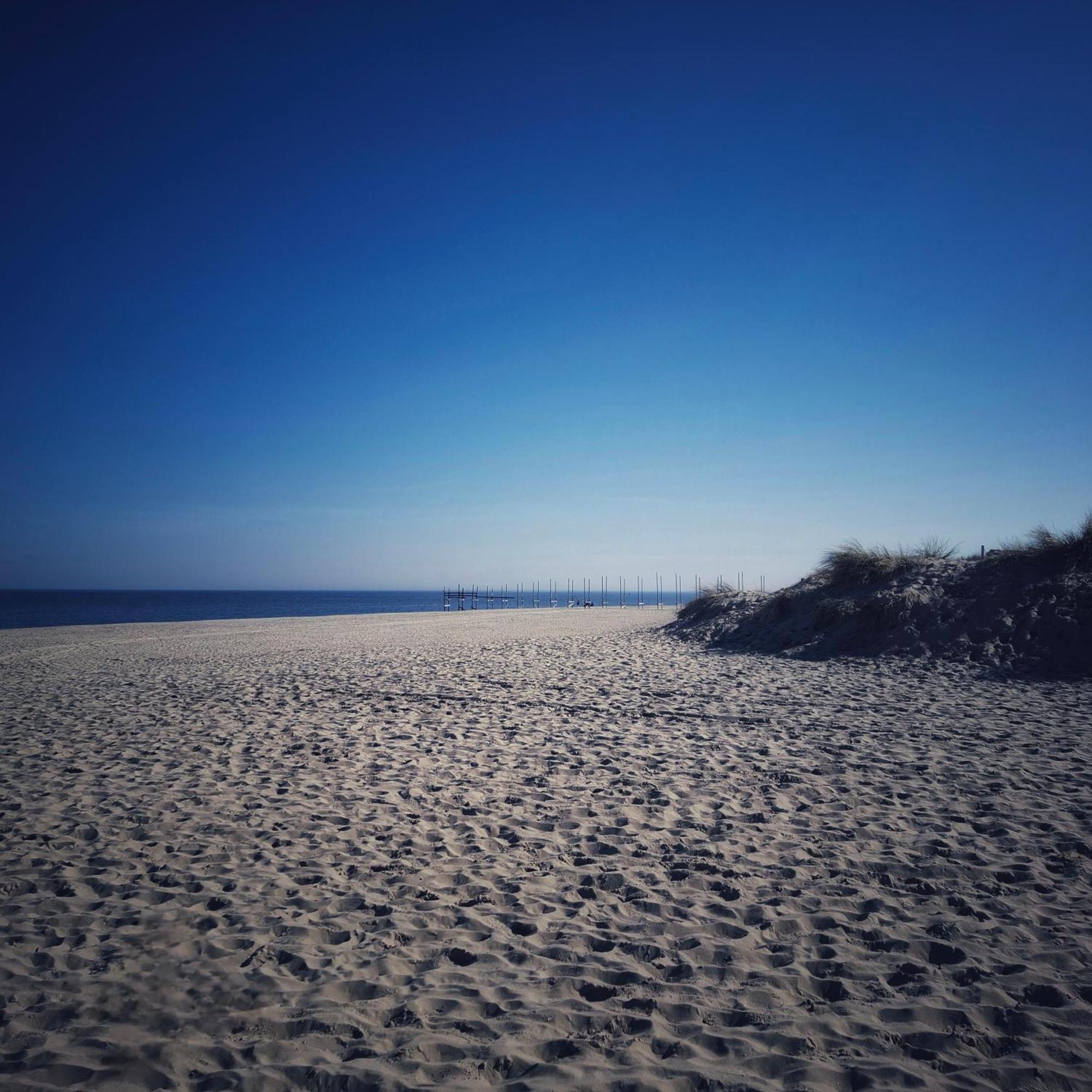 Private Logies Texel Woodart Midden-Eierland Esterno foto